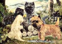 "Cairns in the Woods" by Barbara Hands
